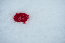 Fresh snow with drop of blood