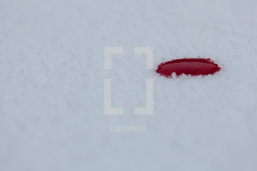 Pure, fresh white snow with drop of blood. Isaiah 1:8 