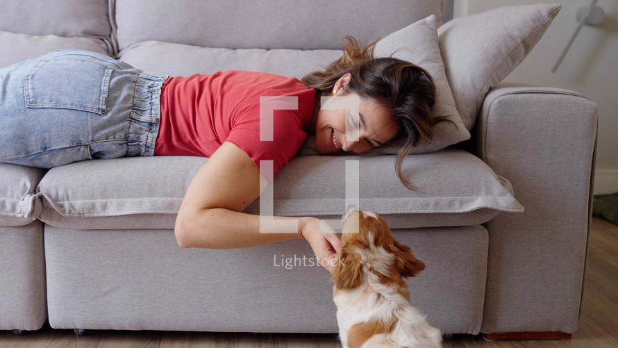 Portrait of a Woman laying on a Couch, Petting her Dog and Spending Time Bonding with Him. Lovely Cute Moment Shared Between Owner and Lovely mixed breed dog, Caressing and Kissing
