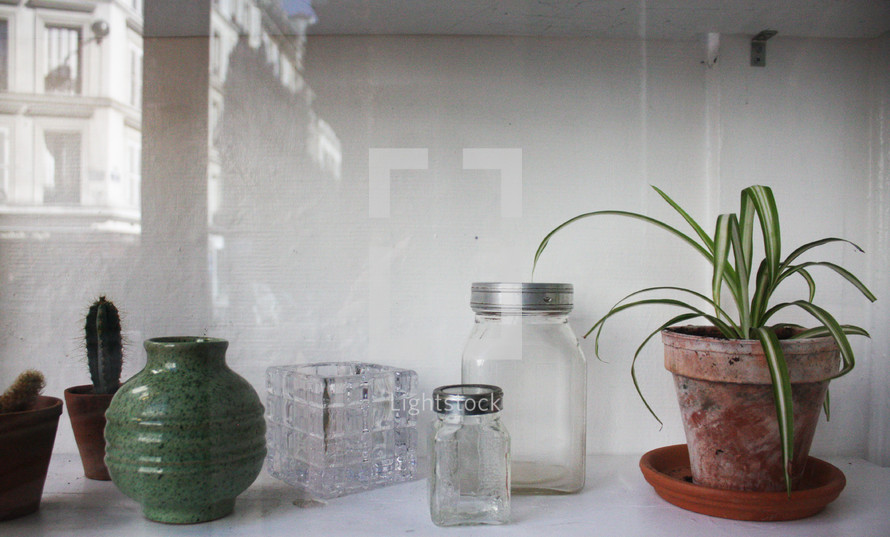 jars and house plants on a countertop 