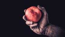 handing holding an apple