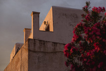 flowers on a tree and rooftop balcony in Greece 