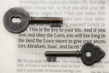 This is the key to your life. And if you love and obey the Lord, you will live long in the land the Lord swore to give your ancestors Abraham, Isaac, and Jacob