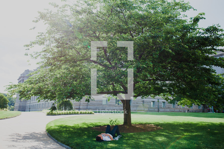 man sleeping in the grass under a tree in Washington DC