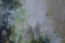 layered forest background