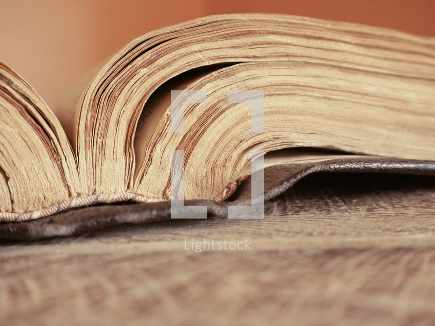 pages in an old book 