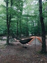 hammock and tent in a forest 