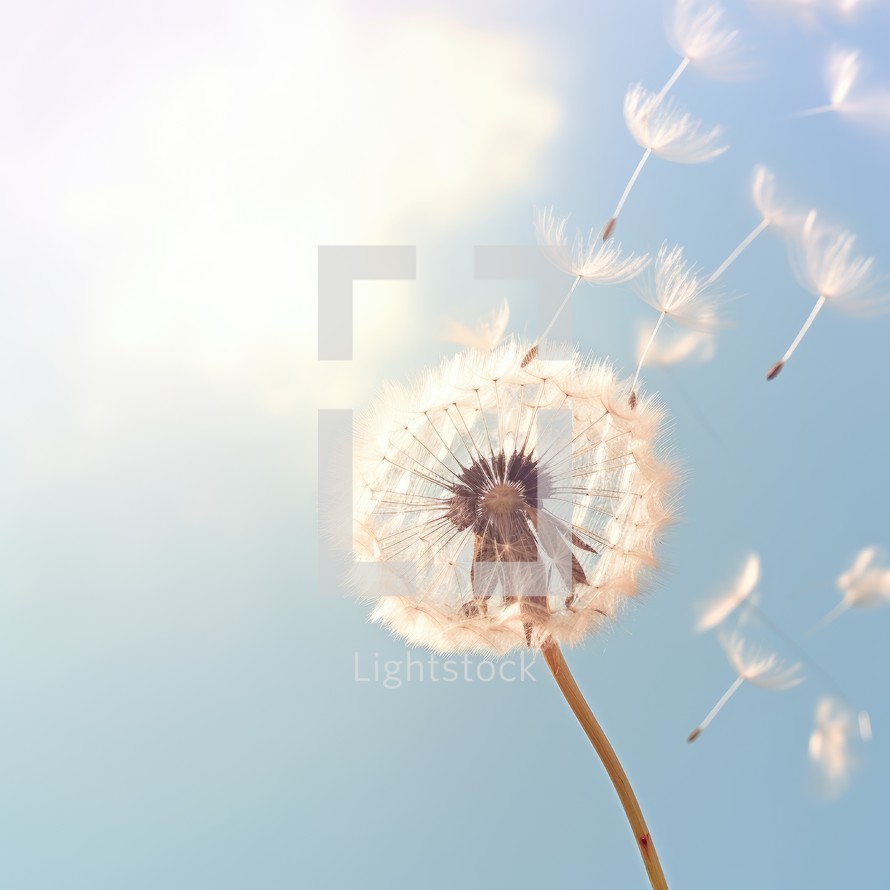 Dandelion seeds flying in the wind on a background of blue sky