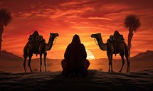 Arab man with camels in the desert at sunset.