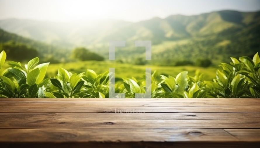 Wooden table in front of tea plantation. Blurred background.