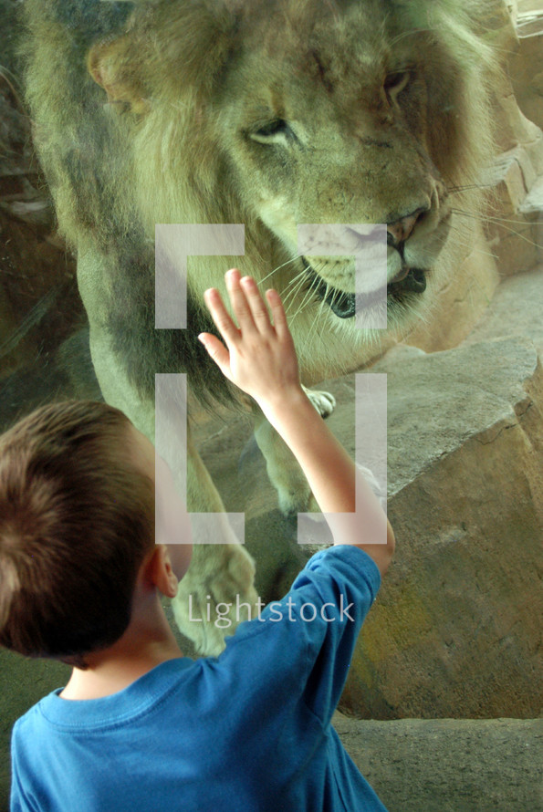 boy and a lion