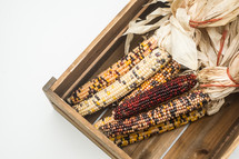 Indian corn cobs in a wooden box.