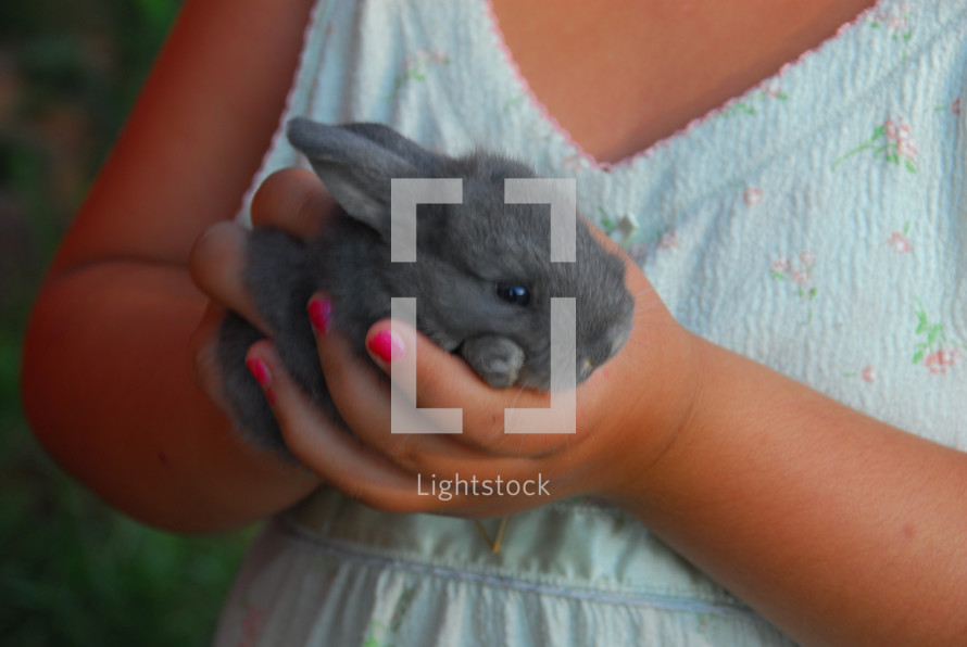 a little girl holding a baby bunny 
