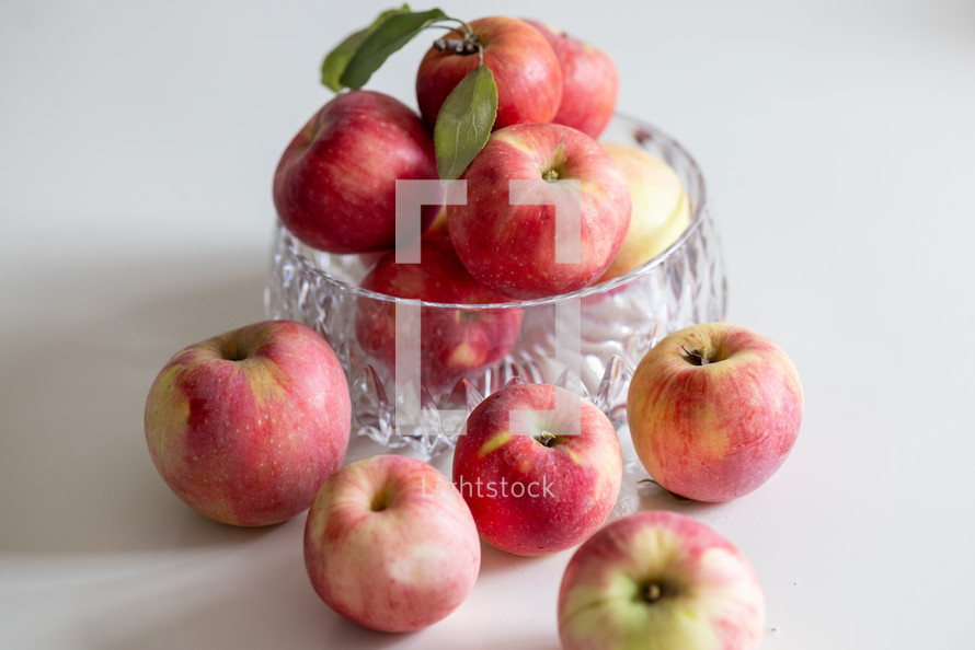 bowl of apples in natural light