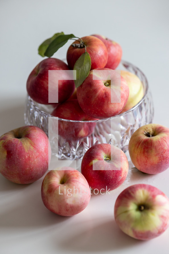 bowl of apples in natural light