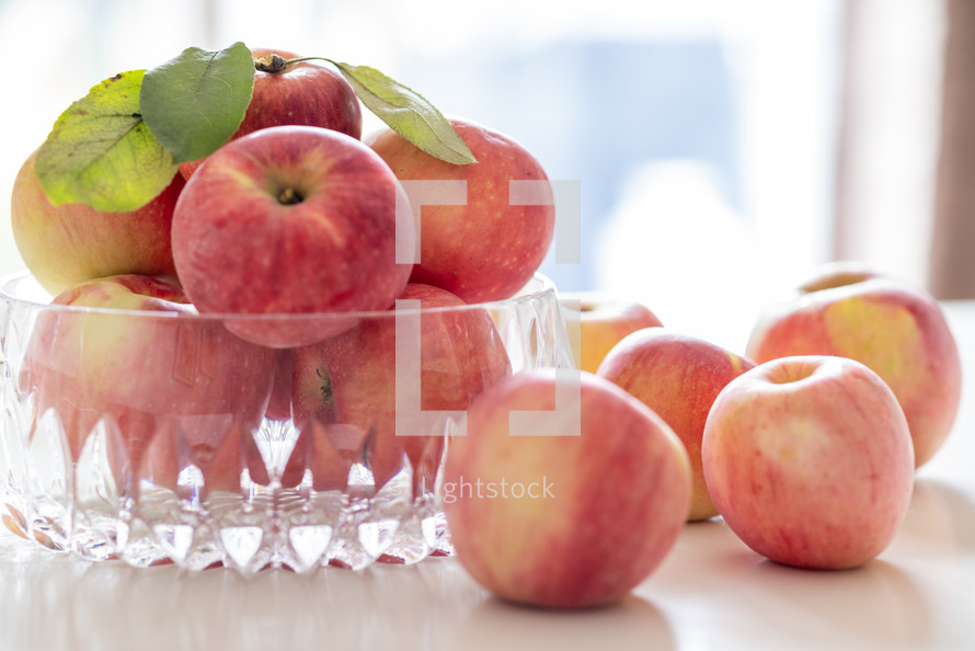 bowl of apples in natural light, backlit