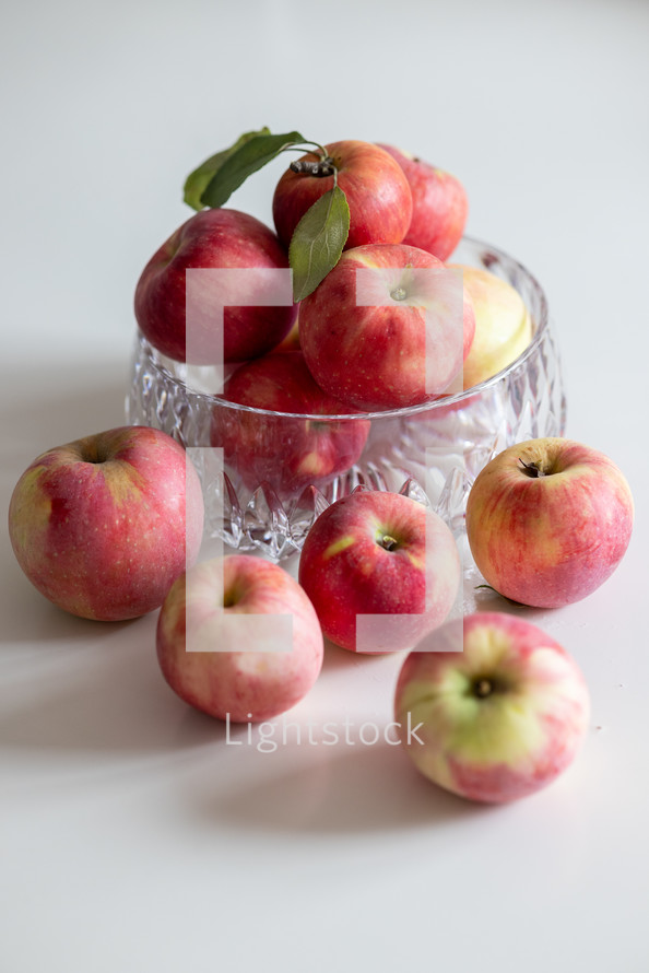 bowl of apples in natural light