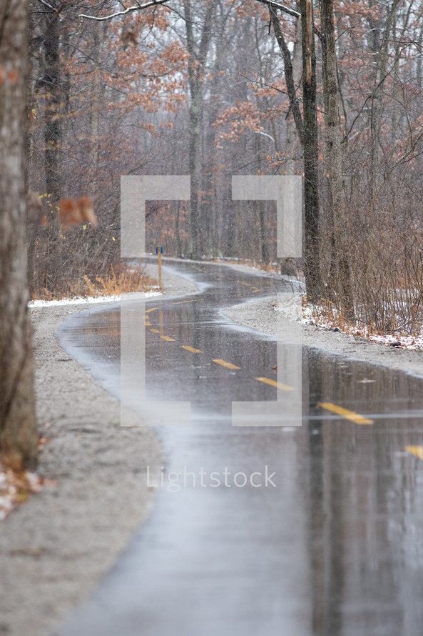 reflections in wet asphalt 