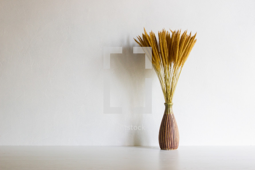 fuzzy grasses in a vase 