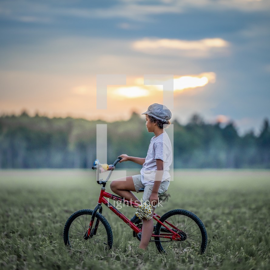 a little boy on a bicycle in a field of flowers 