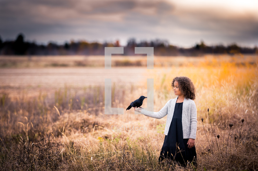 a child in a field holding a crow in her hand 