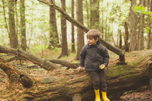 a kid sitting on a fallen tree in a forest 