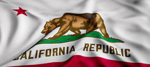 state flag of California 