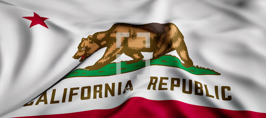 state flag of California 