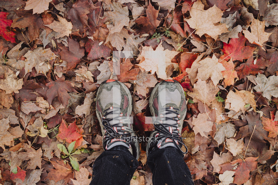 sneakers standing in fall leaves 