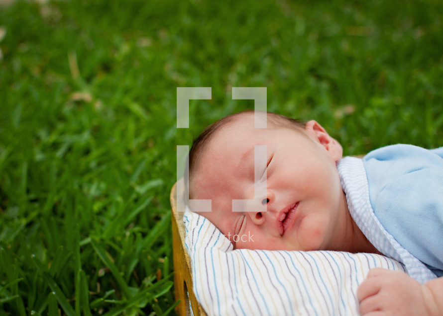 Infant sleeping in park