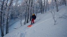 Slow motion of Skier riding freeride in frozen winter forest Ski ride powder snow
