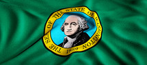 State flag of Washington 