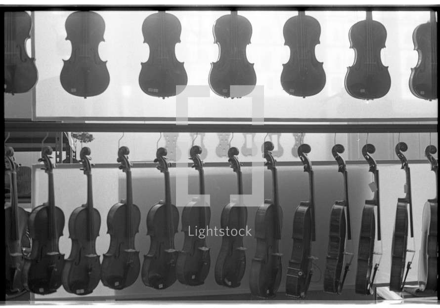 Rows of violins hanging in a shop.