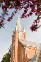 fuchsia spring flowers on a tree branch and brick church with steeple 