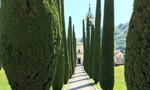 trees lining a sidewalk to a grand estate in Italy 