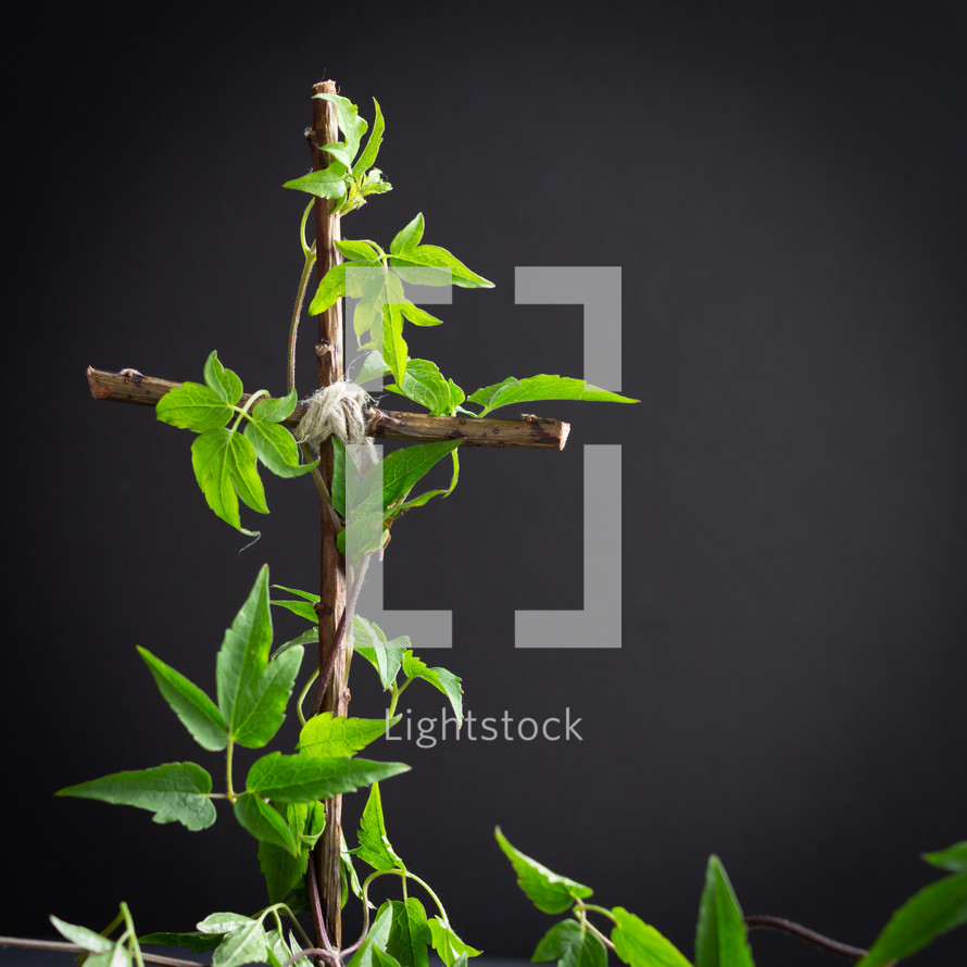 cross with vines and flower 