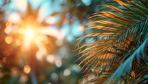 Palm leaves on blurred background of sun rays and bokeh