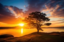 Lonely tree on the lake at sunset. Beautiful natural landscape.