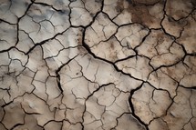 Dried and cracked earth background. Global warming and climate change concept.