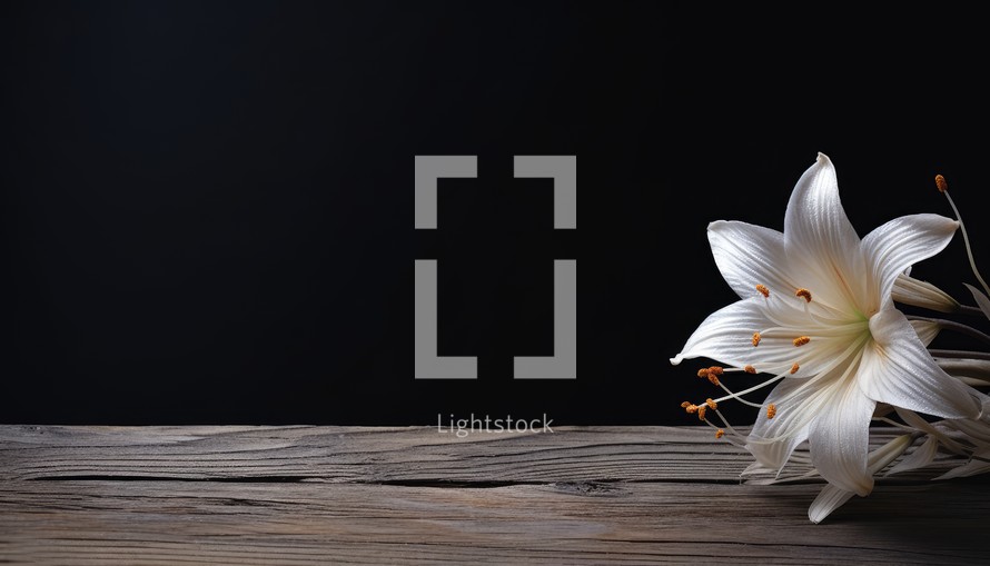 White lily flower on wooden table and black background with copy space