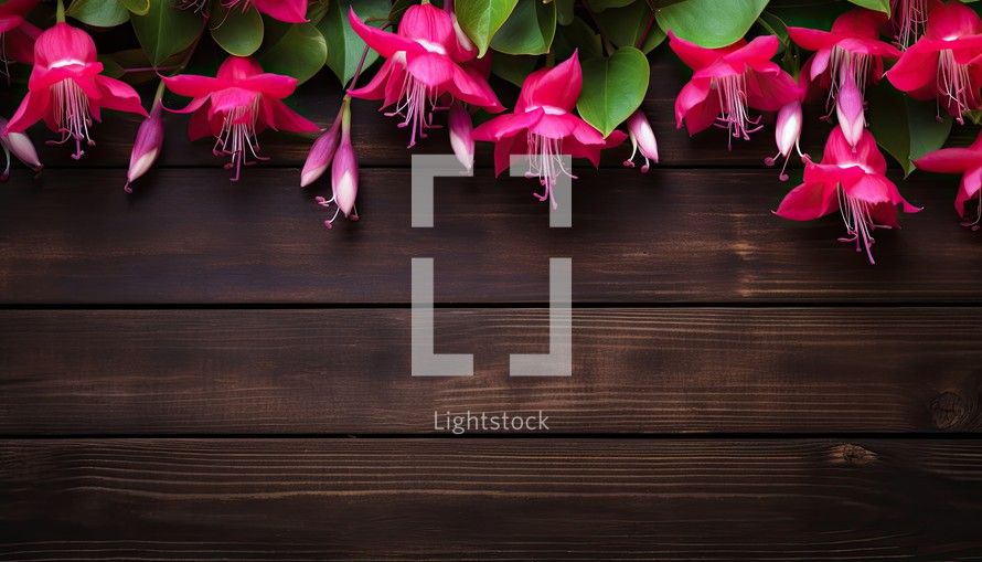 Fuchsia flowers on wooden background. Top view with copy space