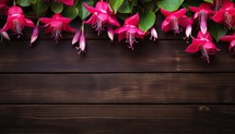 Fuchsia flowers on wooden background. Top view with copy space