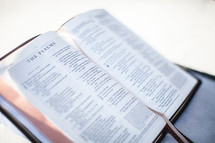 The Psalms on the pages open Bible 