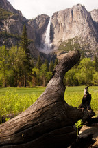 Green field and waterfalls at Yosemite