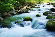 Mountain stream in the forest. Beautiful nature scene with fast flowing water.