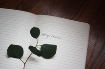 twig with green leaves on a notebook and the word forgiveness