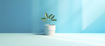 Green little plant in a pot on a blue background