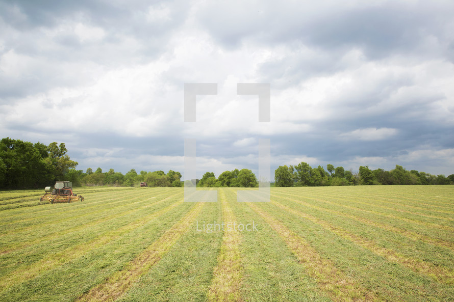 A combine harvesting a crop in a big field under a cloudy sky.