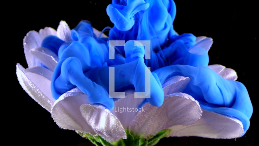  flower underwater with blue Ink reacting and creating abstract cloud formations.

