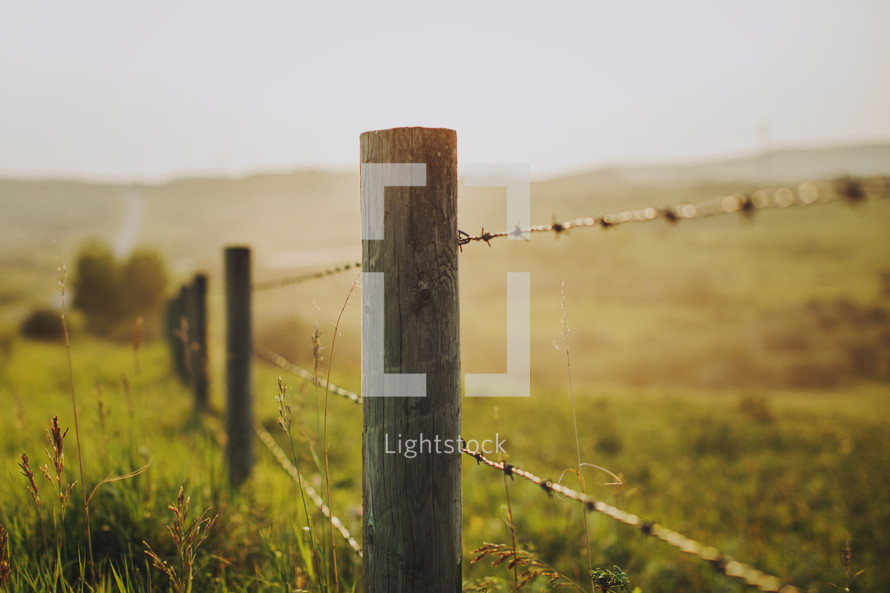 fence posts at sunset 